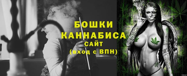 шишки Карпинск