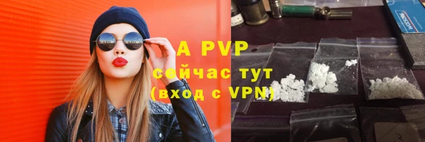шишки Карпинск
