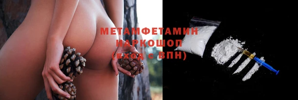 шишки Карпинск