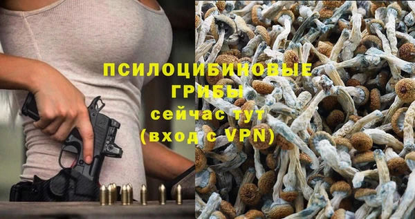 стафф Кинешма