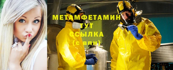 шишки Карпинск