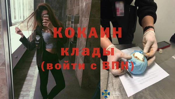шишки Карпинск