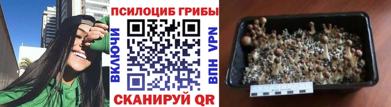 Галлюциногенные грибы мухоморы  Салават 