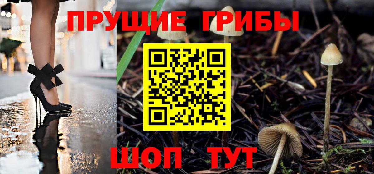 Галлюциногенные грибы Cubensis Салават