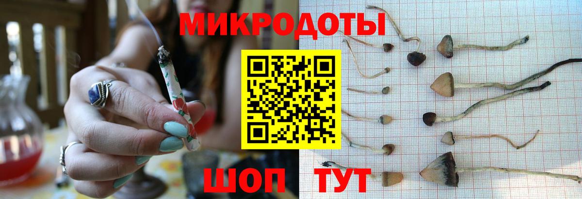 Псилоцибиновые грибы Psilocybe  Галлюциногенные грибы MAGIC MUSHROOMS  Вход с VPN  Салават 